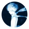 The Little Prince 15