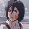 Mikasa 20