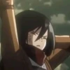 Mikasa 22