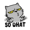 Meow Zhua Zhua 28