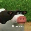 Memes for chat 29