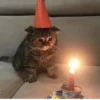 стики тYт👉 28