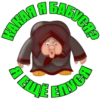 Walrus 15
