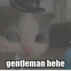 Hehecat :: 20