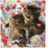 Стикеры с любовью❤️ 5