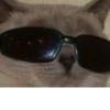 Mini cats 9
