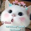 Luv 8