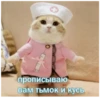 Стикеры с любовью❤️ 7