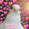 Luv 9