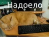 Fuck the system chat 11