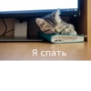 Fuck the system chat 12