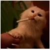 Стикеры с любовью❤️ 11