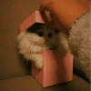 Cat"Mood •|• 12
