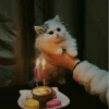 Cat"Mood •|• 13