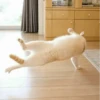 Cat"Mood •|• 14
