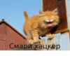 Fuck the system chat 14