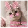 Стикеры с любовью❤️ 17