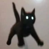 Mini cats 18