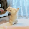 Cat"Mood •|• 17