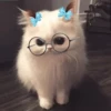 Cat"Mood •|• 18