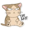Meowcat 15