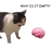 Memes 2 :: 16