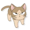Meowcat 16