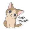Meowcat 17