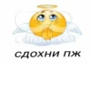 Стики 4281 из @Anonymnyi_chat_bot 21