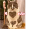 Стикеры с любовью❤️ 20