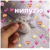 Стикеры с любовью❤️ 21