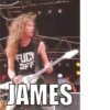 Metallica 22