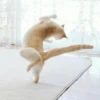 Cat"Mood •|• 24