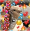 Стикеры с любовью❤️ 23