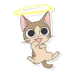 Meowcat 19