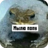 Memes 29