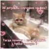Стикеры с любовью❤️ 26