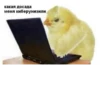 Memes 2 :: 27