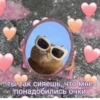 Luv 29