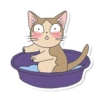 Meowcat 20