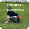 терианы.. 9