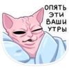 Метх Макс 28