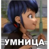 Memes_Miraculous 5