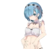 Ram & Rem by fantasy girls 5
