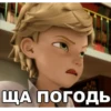 Memes_Miraculous 6