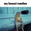 My honest reaction (by ) 5