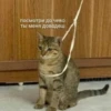 My_kit 5