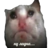 MEM 6