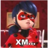 Memes_Miraculous 7