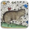 Medieval Cats 8